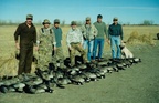 Goose-Hunting