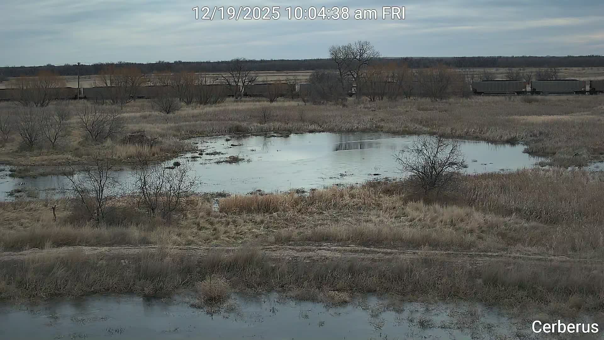 middlewetlands